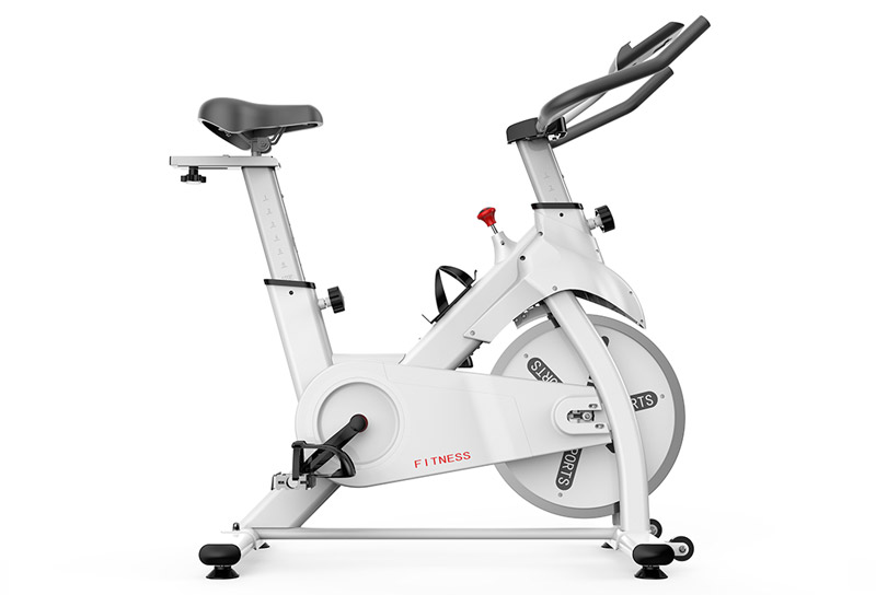 ES-B008 Indoor Spin Bike