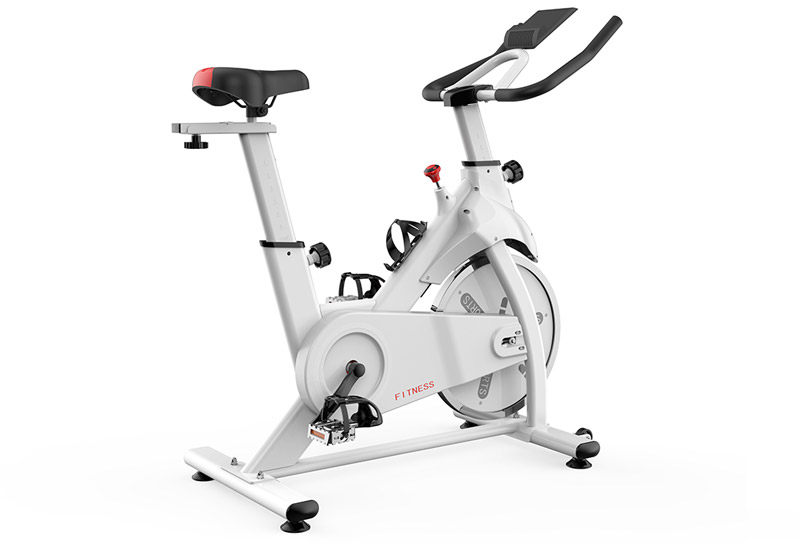 ES-B008 Indoor Spin Bike