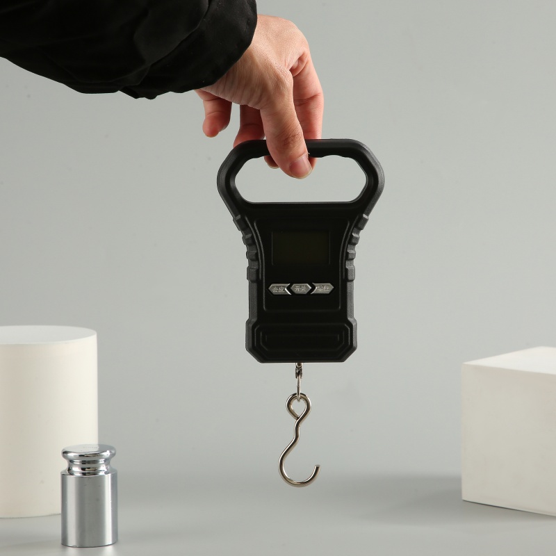 ES-H-008	Hook Scale