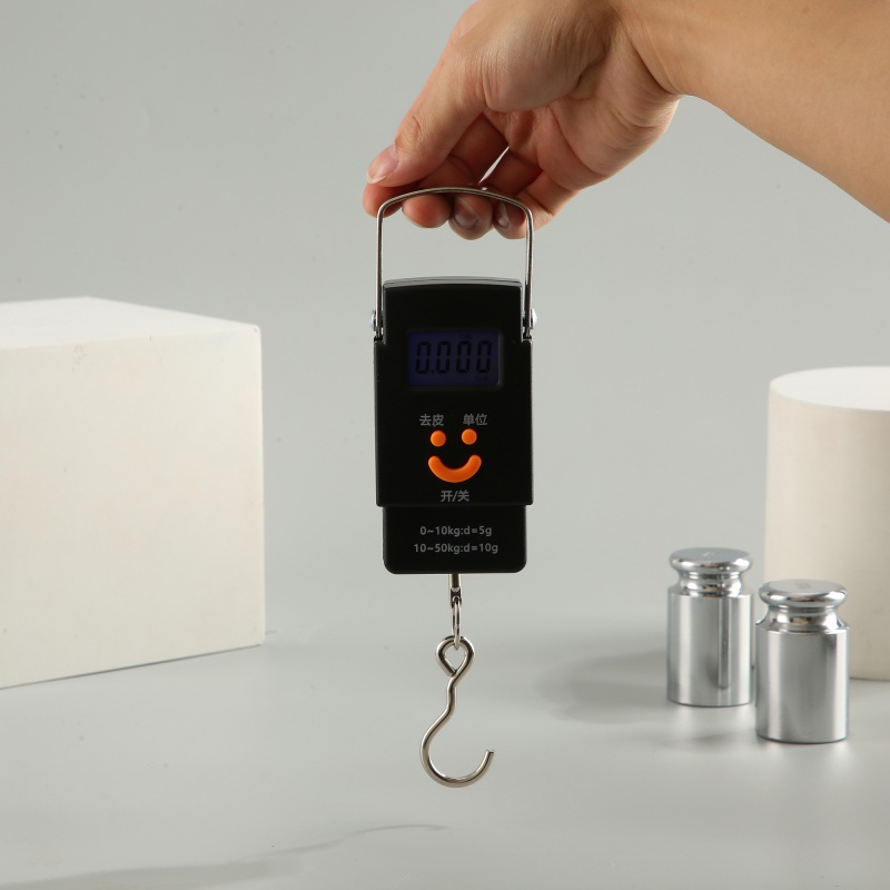 ES-H-003	Handheld Digital Hanging Scale