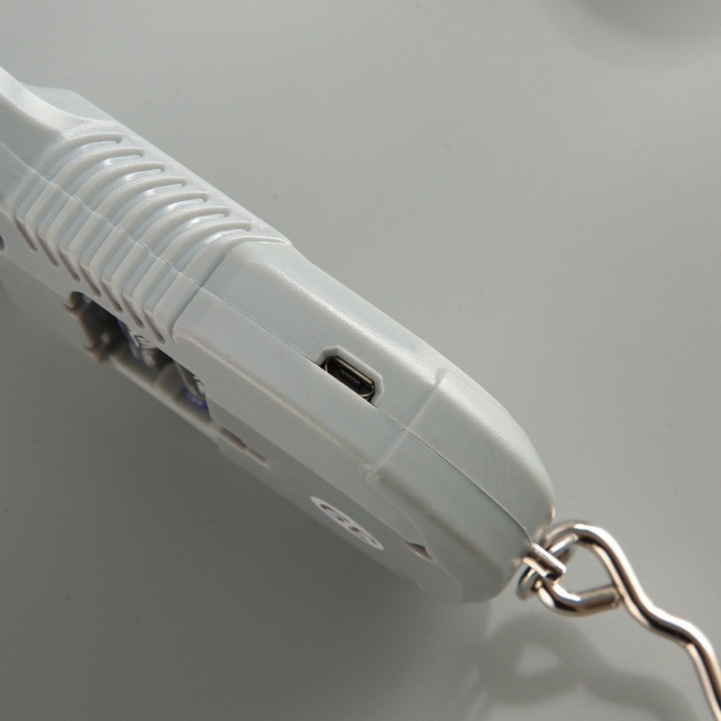 ES-H-006	Hook Scale