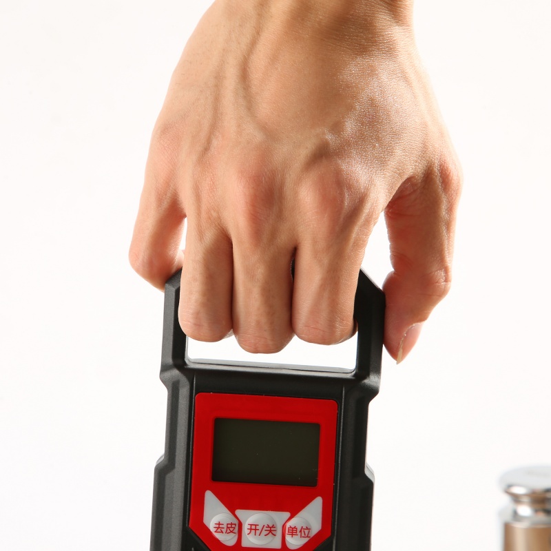 ES-H-005	Electronic Hanging Scale
