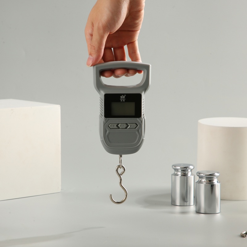ES-H-006	Hook Scale