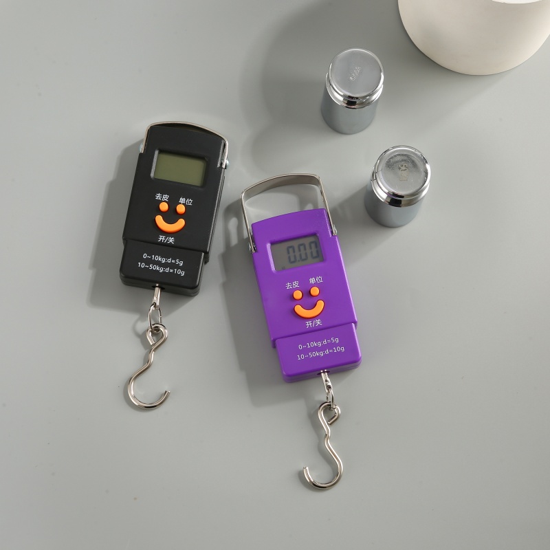 ES-H-003	Handheld Digital Hanging Scale