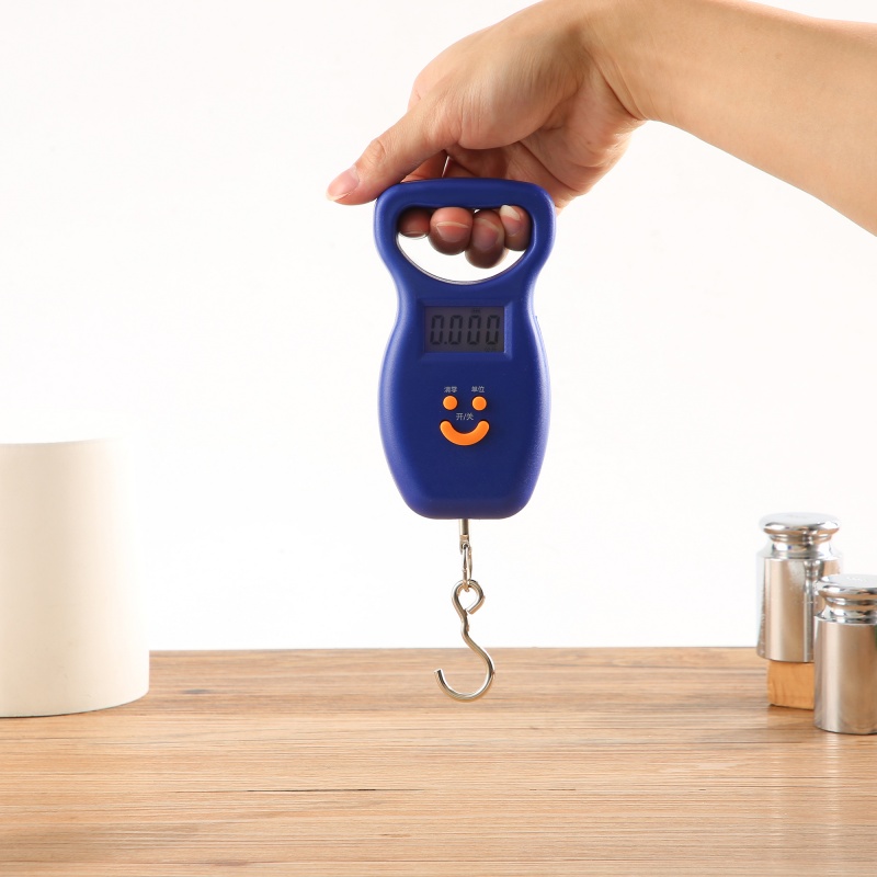 ES-H-001	Digital Hanging Scale