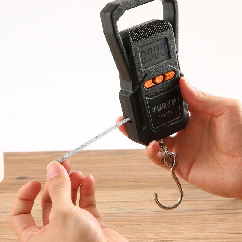ES-H-009	Hook Scale