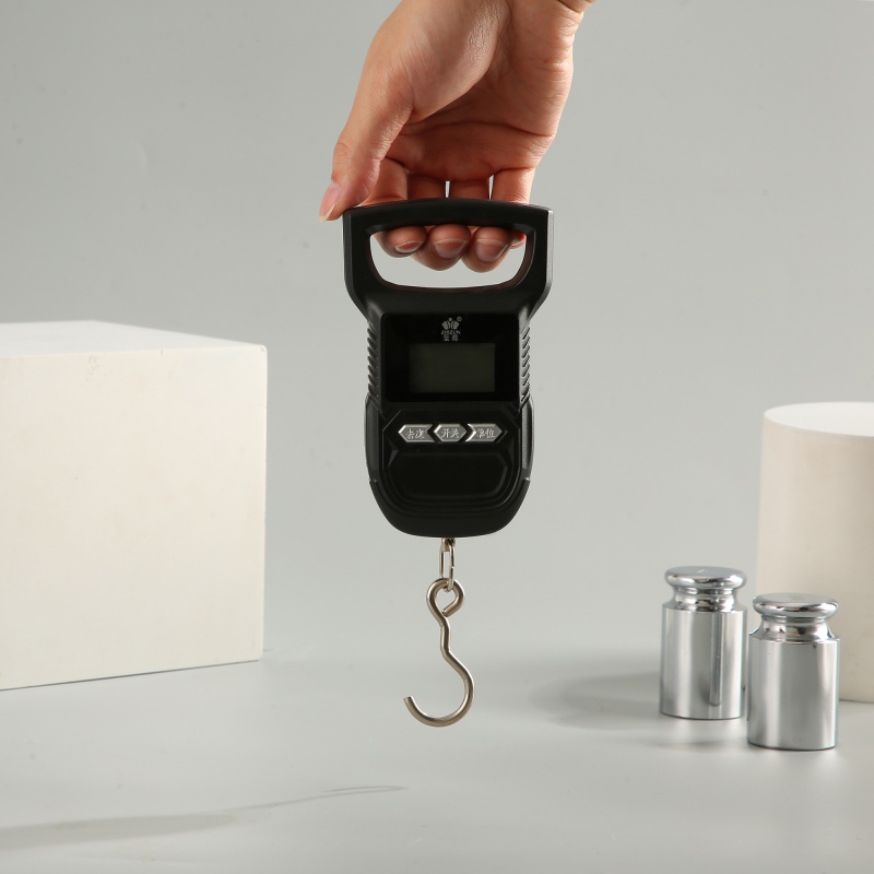 ES-H-006	Hook Scale