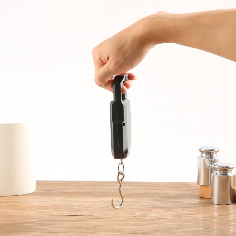 ES-H-005	Electronic Hanging Scale