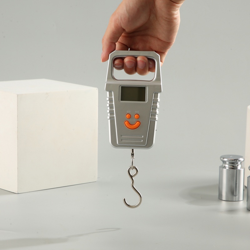 ES-H-007S Hook Scale