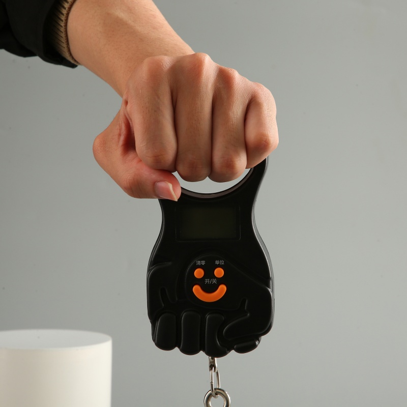 ES-H-002	Portable Digital Hanging Scale