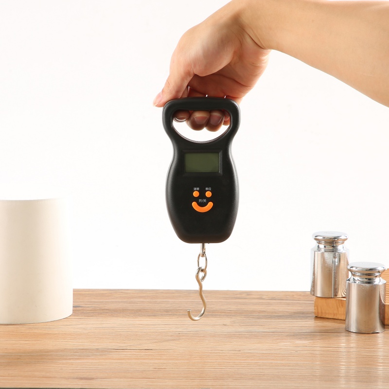 ES-H-001	Digital Hanging Scale