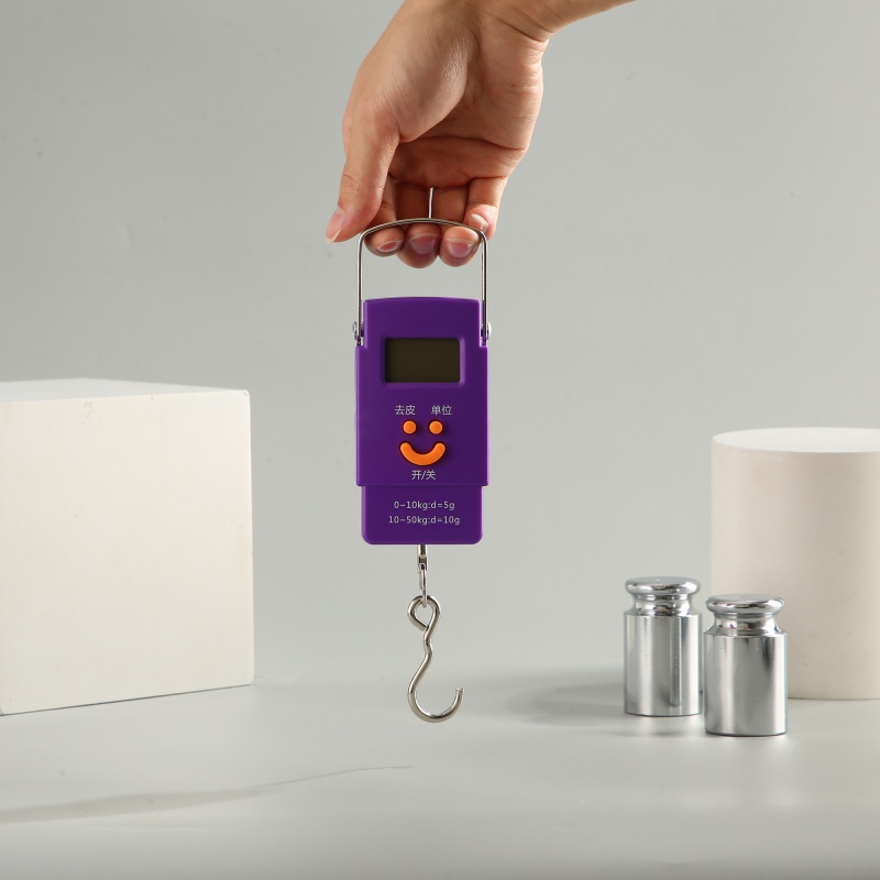 ES-H-003	Handheld Digital Hanging Scale