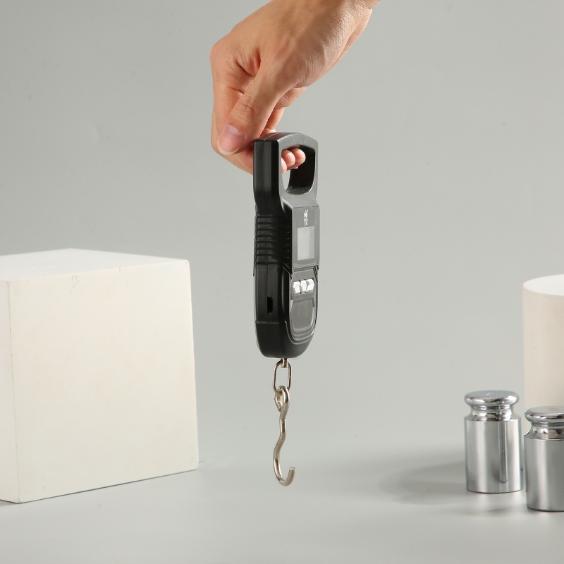 ES-H-006	Hook Scale