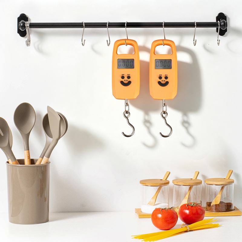 ES-H-010	Hook Scale