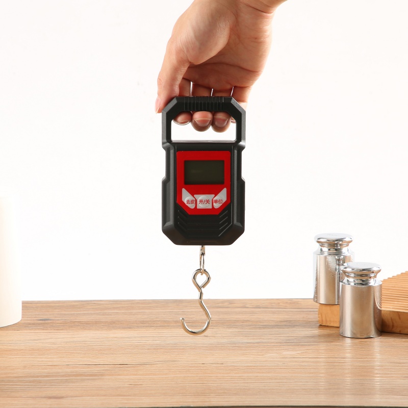 ES-H-005	Electronic Hanging Scale